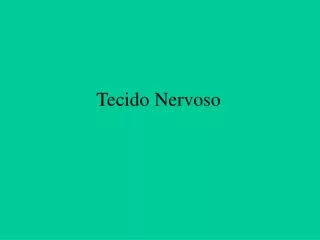 tecido nervoso