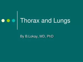 Thorax and Lungs