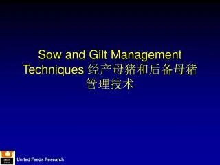 Sow and Gilt Management Techniques ?????????????