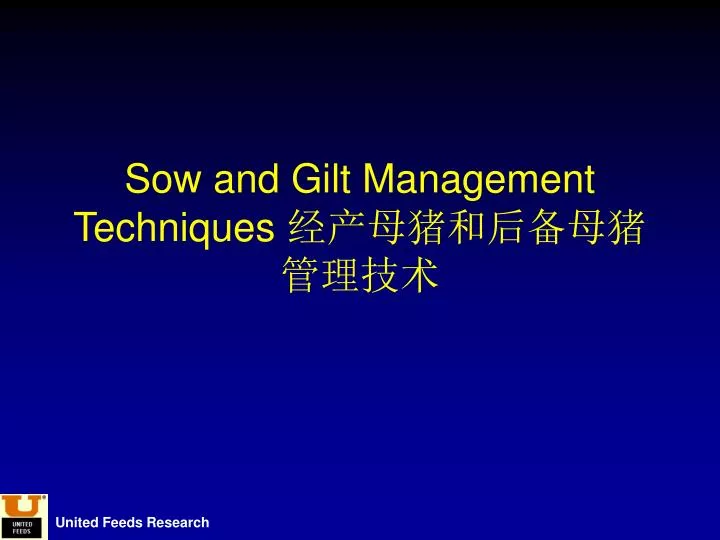 sow and gilt management techniques