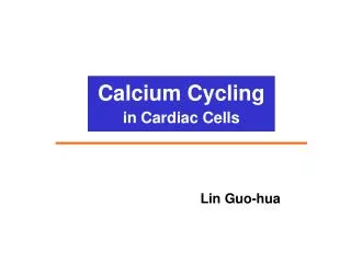 Calcium Cycling in Cardiac Cells
