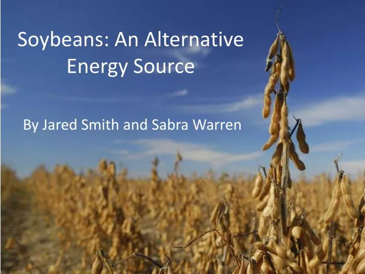 soybeans an alternative energy source