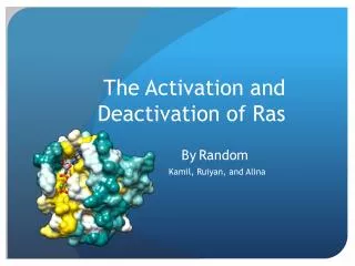 The Activation and Deactivation of Ras