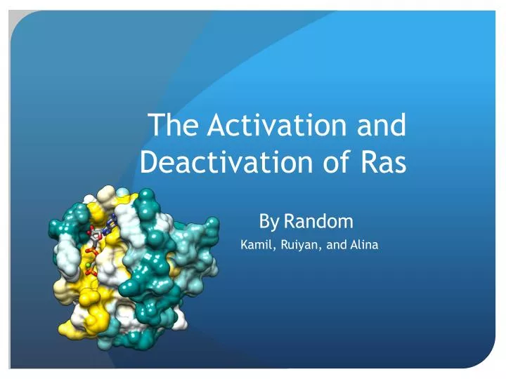 the activation and deactivation of ras