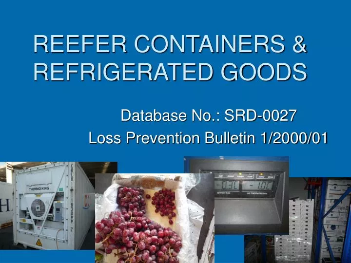reefer containers refrigerated goods