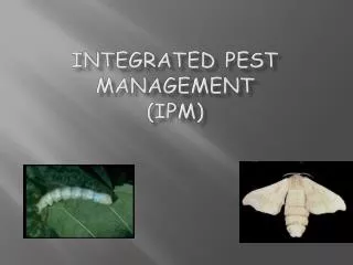 integrated pest management ipm