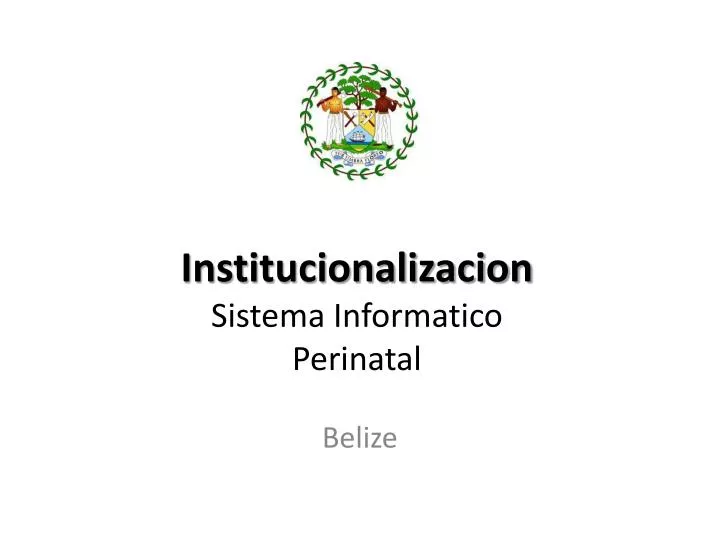 institucionalizacion sistema informatico perinatal