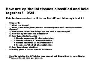 How are epithelial tissues classified and held together ? 9/24