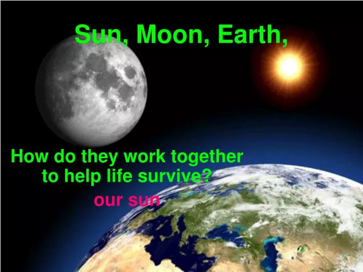 how do they work together to help life survive our sun