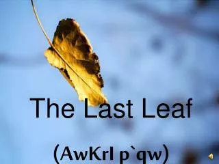 The Last Leaf (AwKrI p`qw)