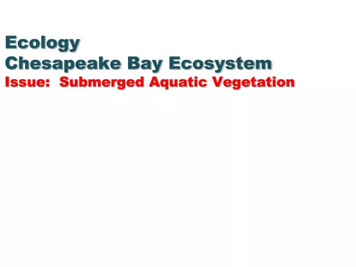 ecology chesapeake bay ecosystem issue submerged aquatic vegetation