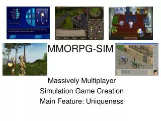 MMORPG-SIM