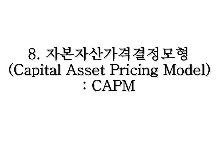 8 capital asset pricing model capm