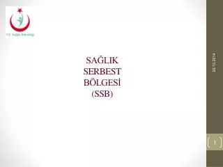 sa lik serbest b lges ssb