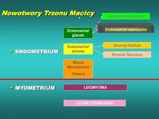 nowotwory trzonu macicy
