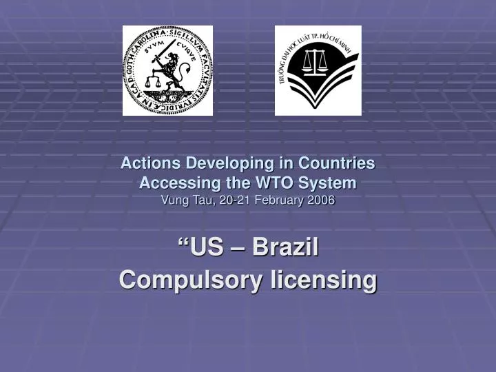actions developing in countries accessing the wto system vung tau 20 21 february 2006