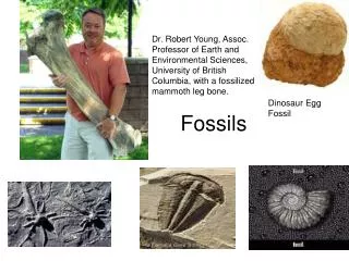 Fossils