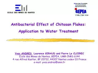 Antibacterial Effect of Chitosan Flakes: Application to Water Treatment