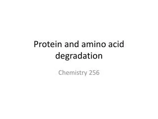 Protein and amino acid degradation