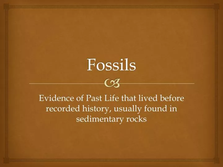 fossils