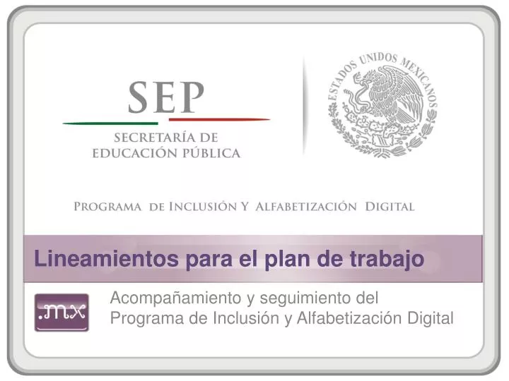 lineamientos para el plan de trabajo