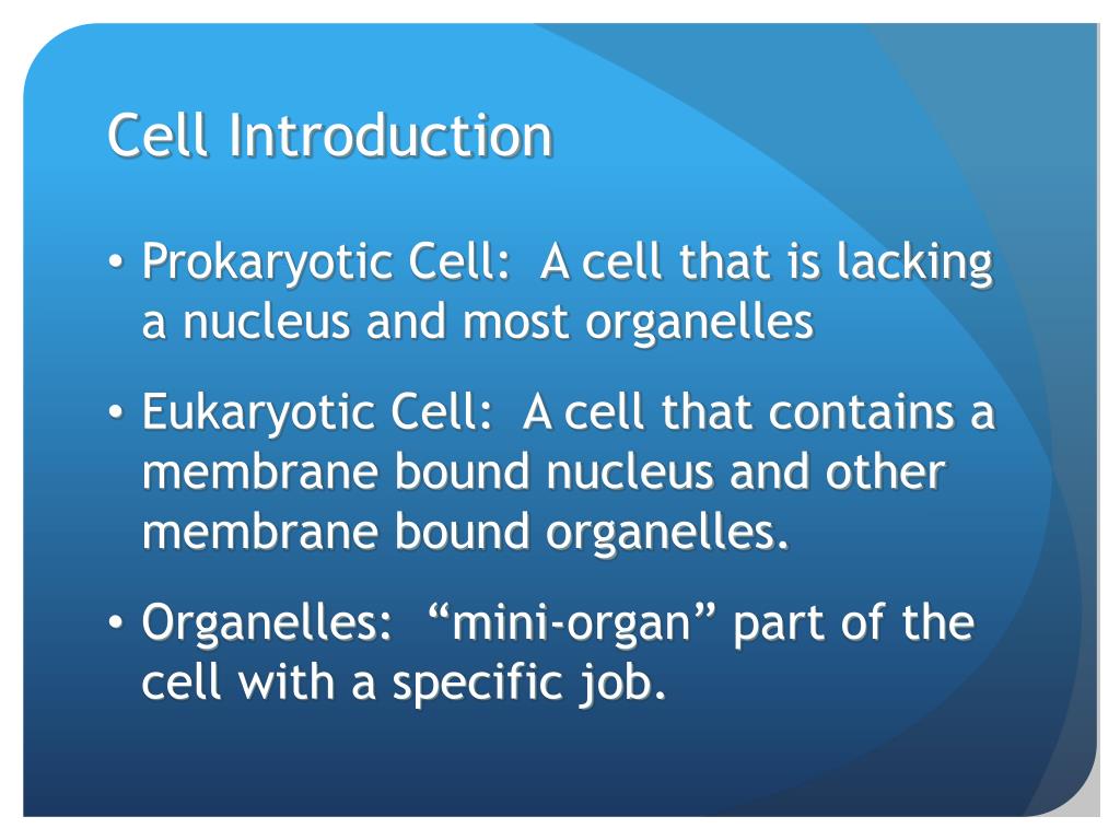 PPT - Cell Introduction PowerPoint Presentation, free download - ID:5659843