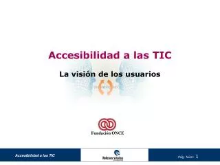 accesibilidad a las tic la visi n de los usuarios
