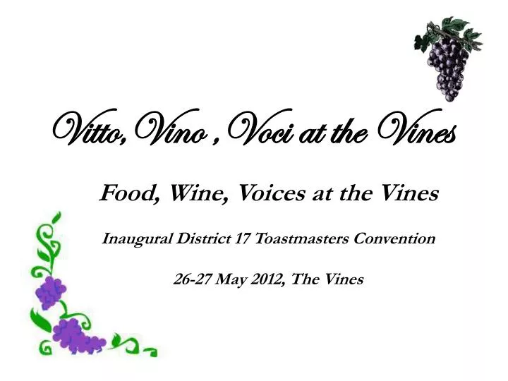 vitto vino voci at the vines