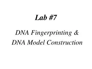 Lab #7