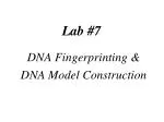 Lab #7 - slide 1