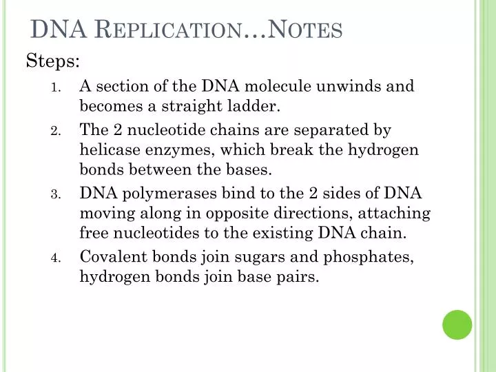 dna replication notes