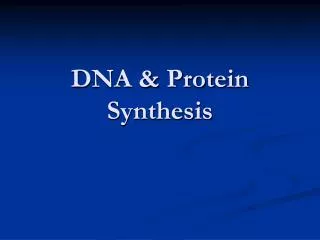 DNA &amp; Protein Synthesis