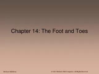 Chapter 14: The Foot and Toes