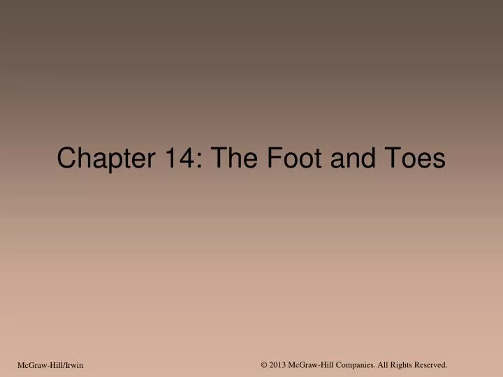chapter 14 the foot and toes