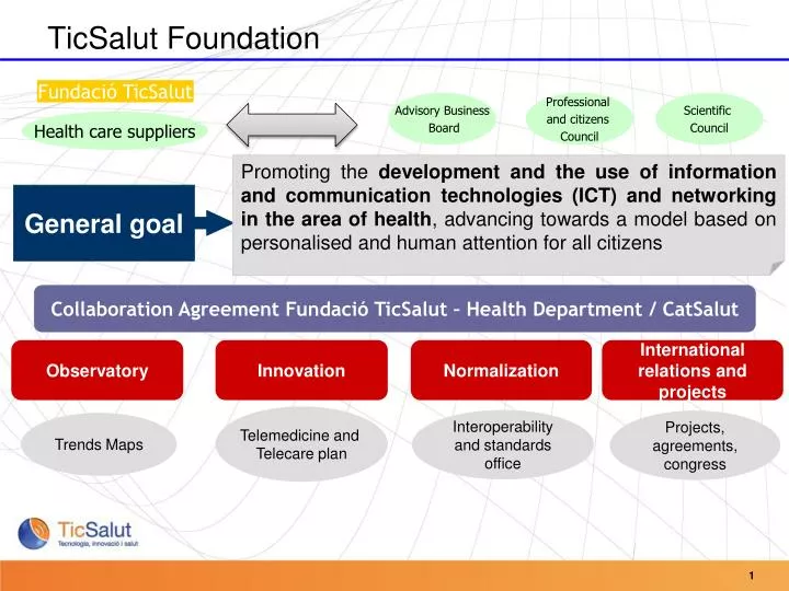 ticsalut foundation