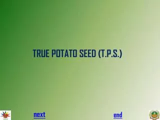 TRUE POTATO SEED (T.P.S.)