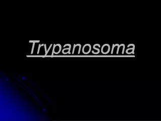 trypanosoma