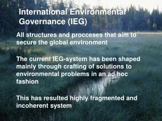 International Environmental Governance (IEG)