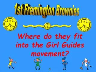 1st Fremington Brownies