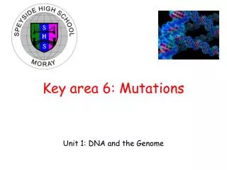 Key area 6: Mutations