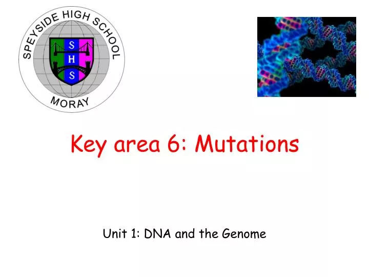 key area 6 mutations