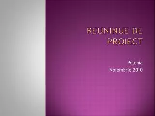 reuninue de proiect