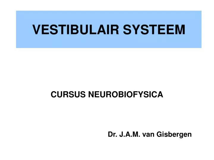 vestibulair systeem