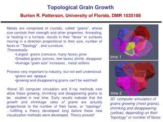 Topological Grain Growth Burton R. Patterson, University of Florida, DMR 1035188