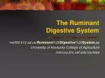 The Ruminant Digestive System - slide 1