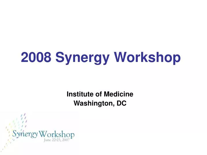 2008 synergy workshop