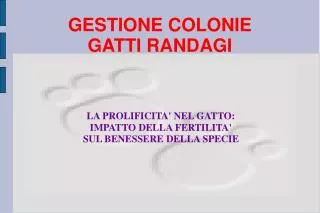 gestione colonie gatti randagi