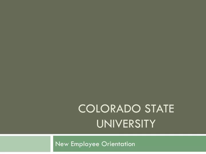 colorado state university