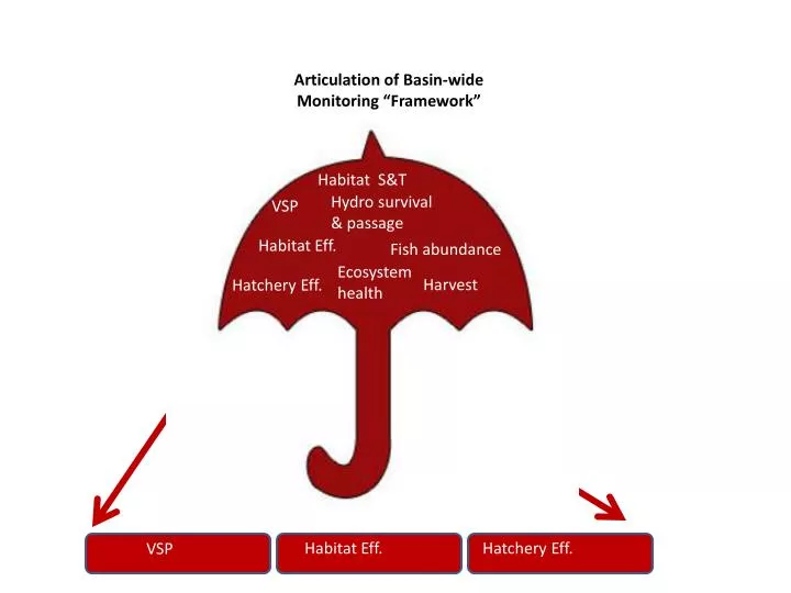 articulation of basin wide monitoring framework