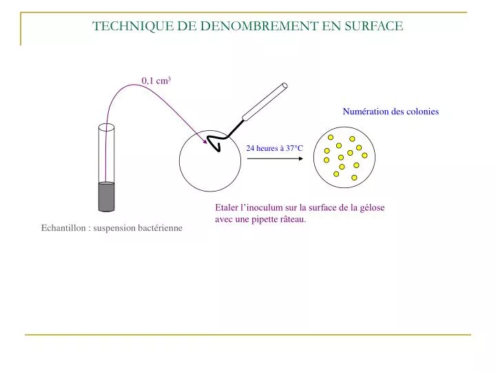 technique de denombrement en surface